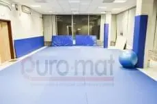 Институт космических исследований РАН