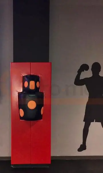 Зал единоборств в Москве