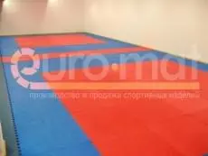 ДЮСШ (г. Казань)